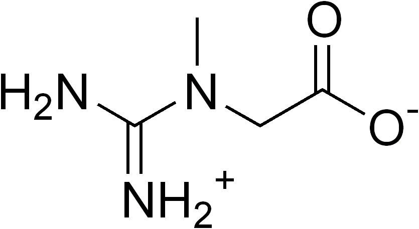 Black chemical-structure diagram of creatine on a white background.
