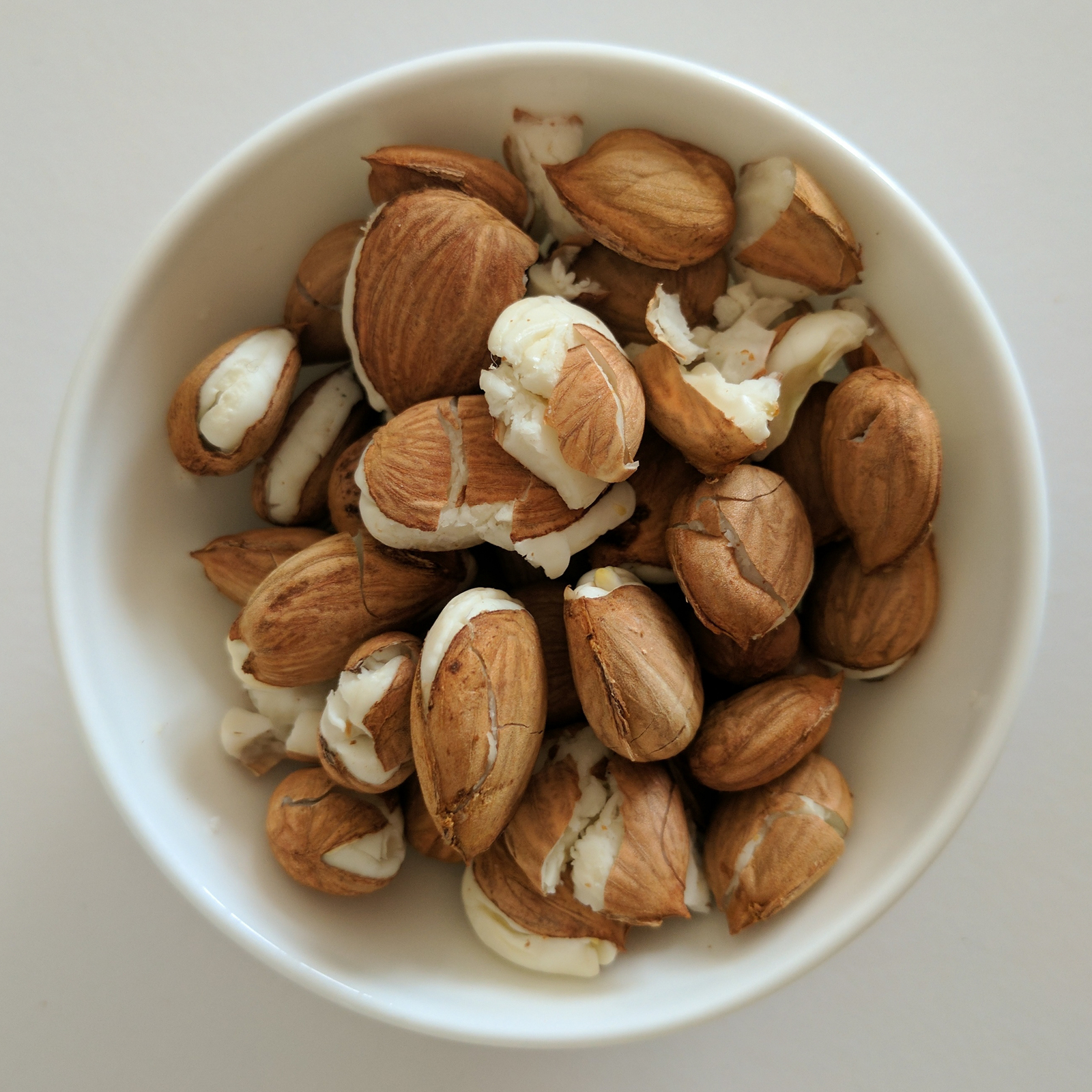 A small bowl containing roughly two dozen cracked-open apricot kernels, their pale interior nutmeat visible, photographed close-up from directly above against a plain background.