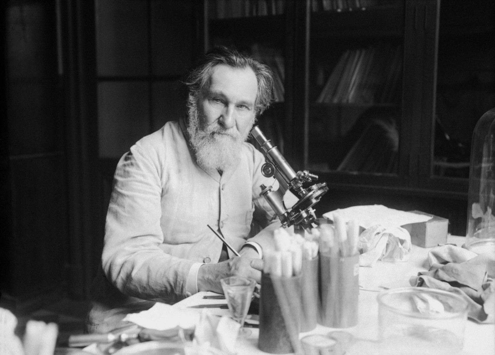 Photograph of Élie Metchnikoff seated at a laboratory bench, surrounded by scientific equipment, taken in 1913.