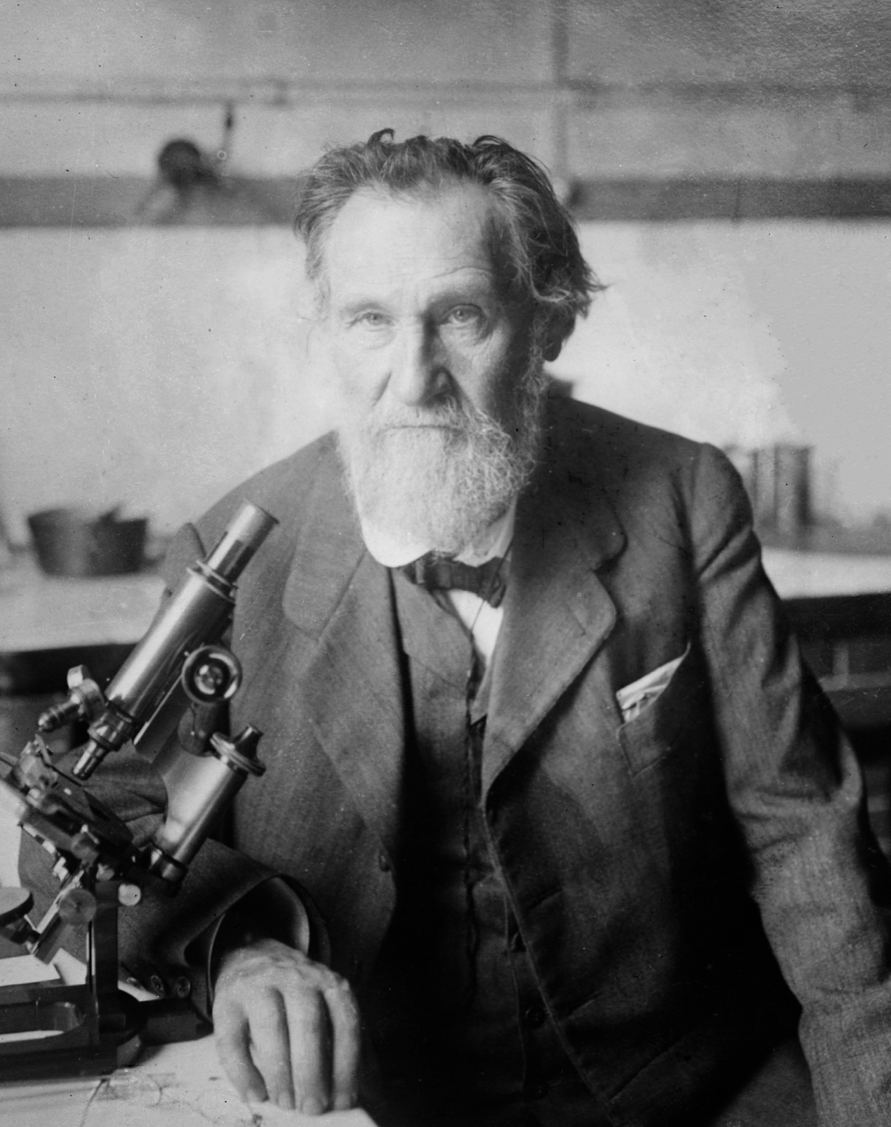 Portrait photograph of Élie Metchnikoff, a bearded man in a dark suit, facing slightly right, circa 1910 to 1915.