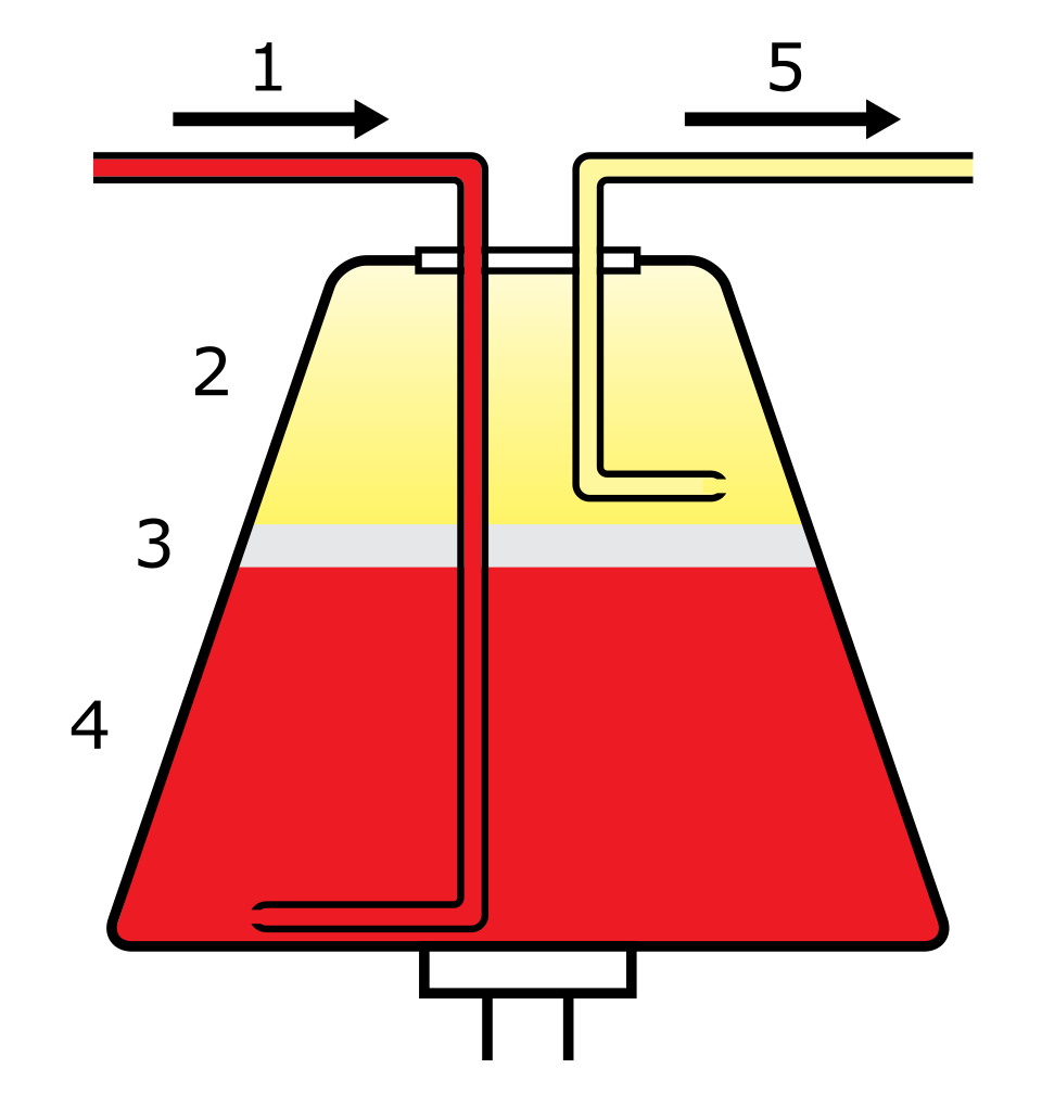 Schematic diagram of the apheresis process: whole blood enters a centrifuge and separates into plasma, leukocytes, and erythrocytes